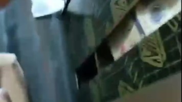 Bokep Premium Sex Jubir Morowali Diewe TKA Cina